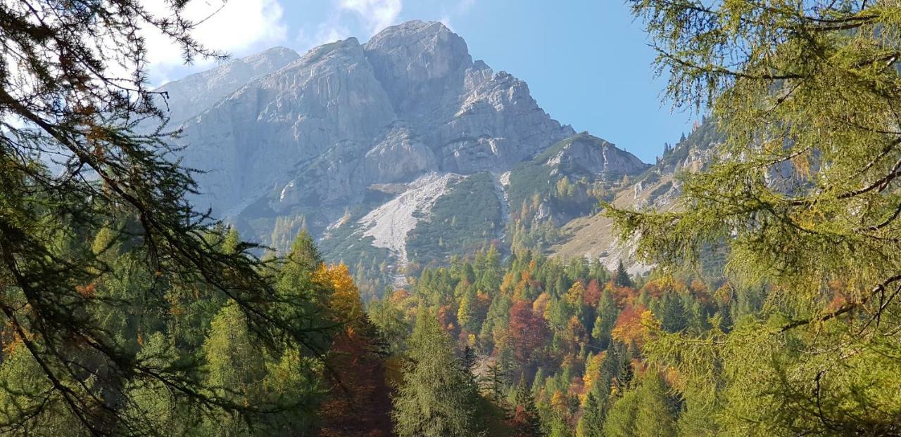Yellow Apartma Kranjska Gora Apartment Ngoại thất bức ảnh